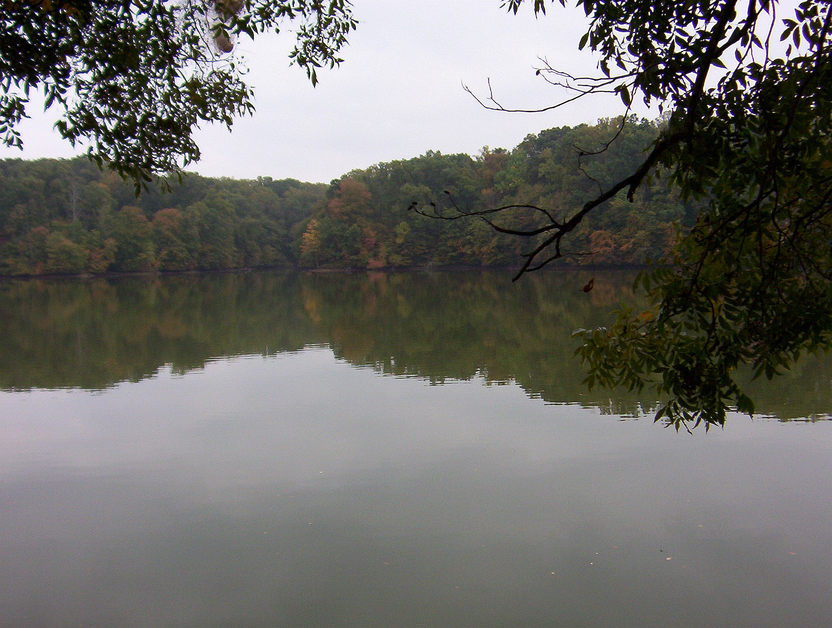 Photo of a pond and surrounding forest at Meeman_Shelby Forest State Park