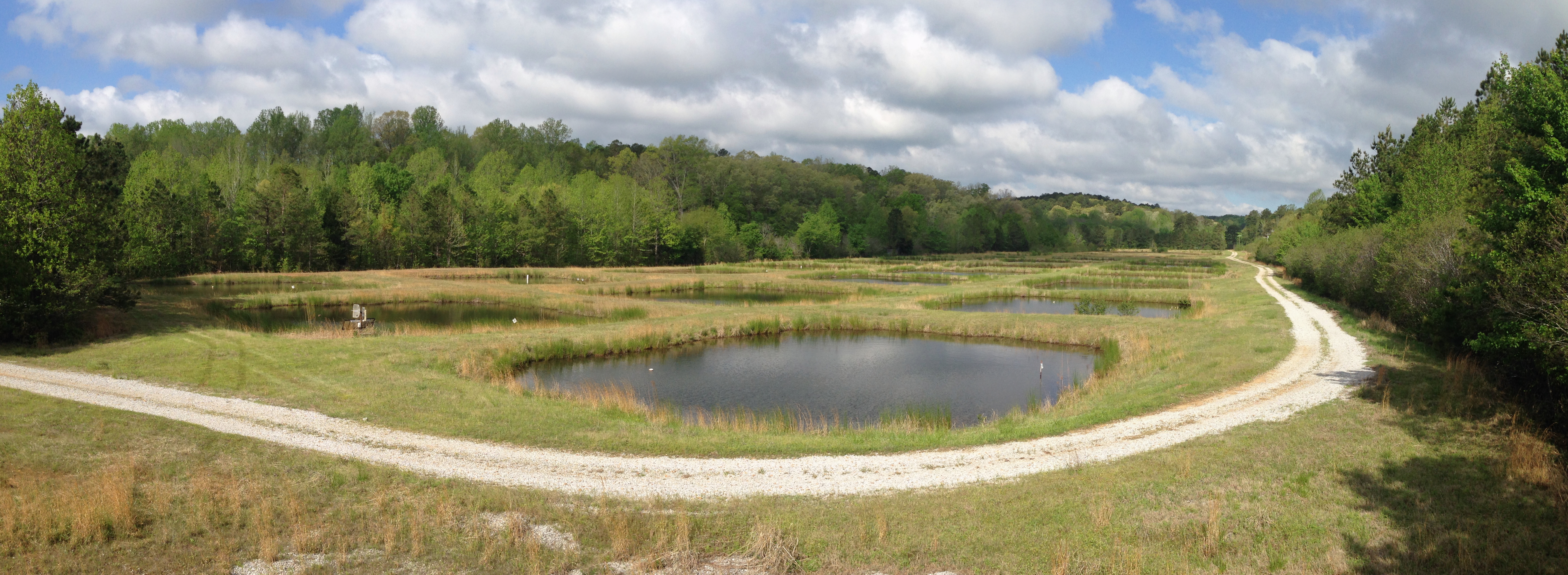 Panoramic photo of ponds and forest in spring at the University of Mississippi Field Station